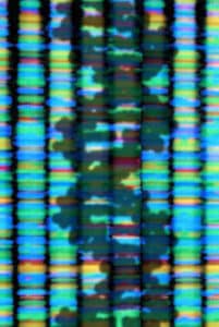 shadow of a dna double helix on sequencing output