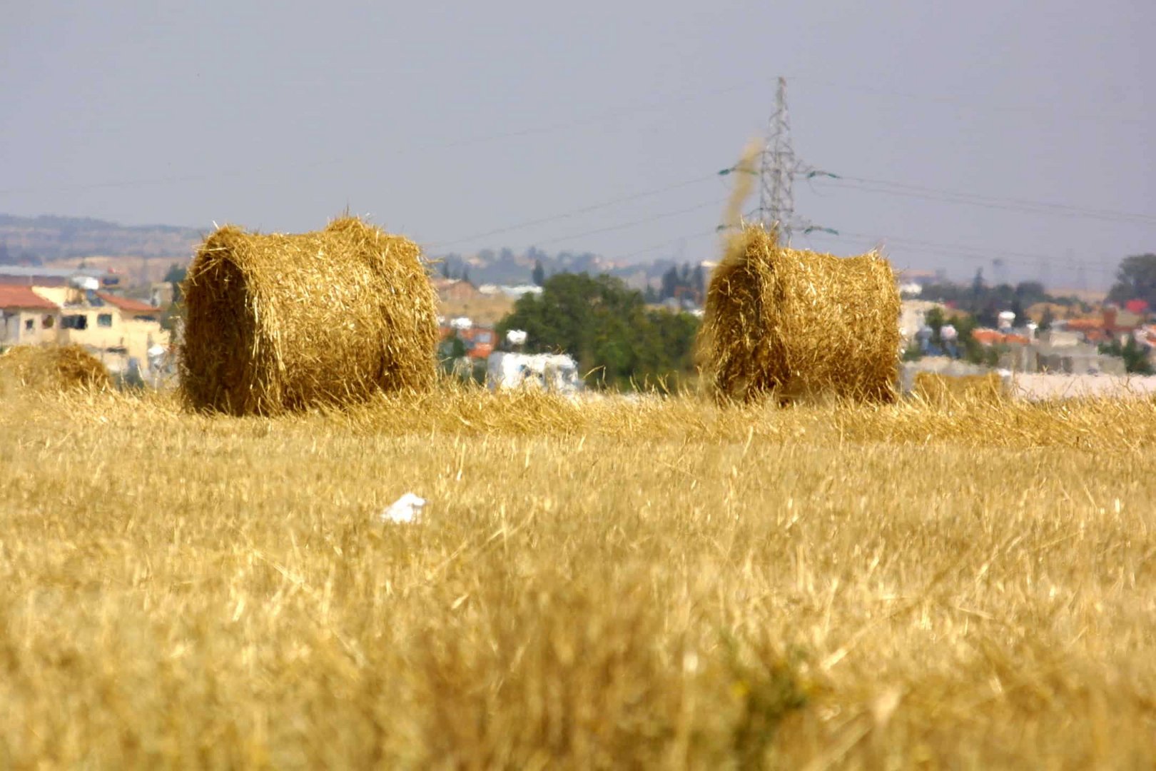 image Assistance to GC farmers in north