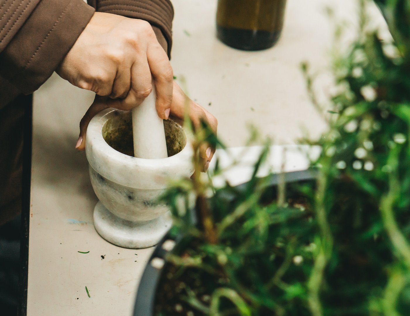 image Interactive workshop talks about herbs