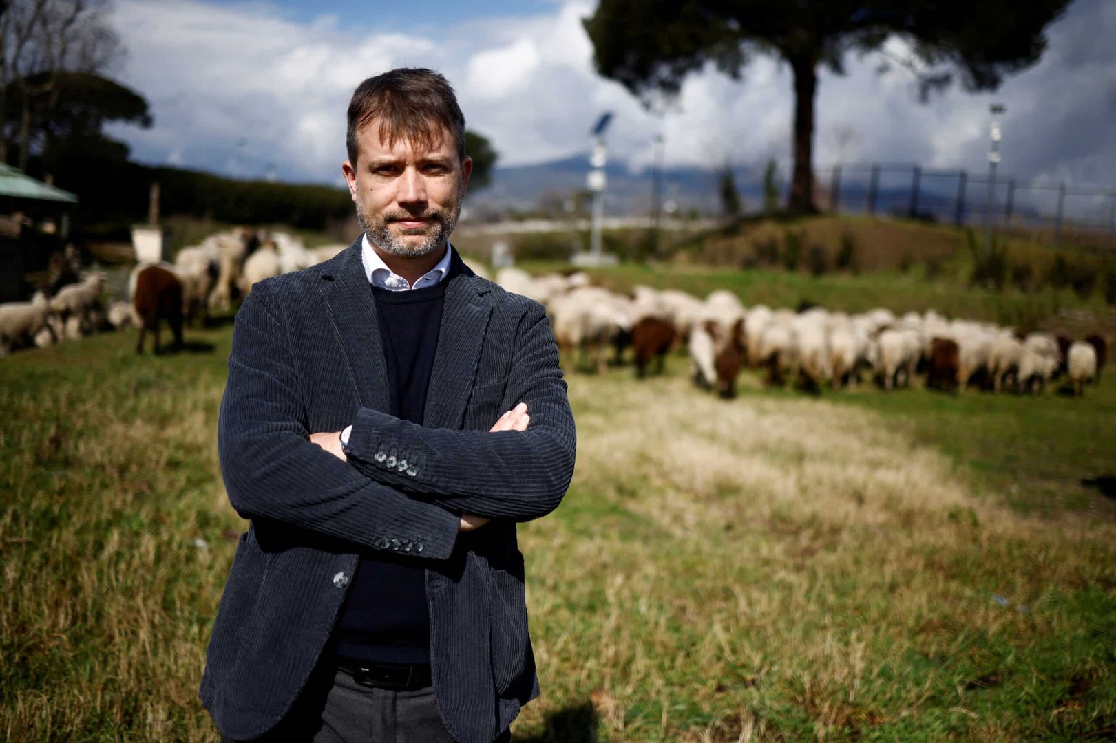 pompeii turns to hungry sheep to protect ancient ruins from grass