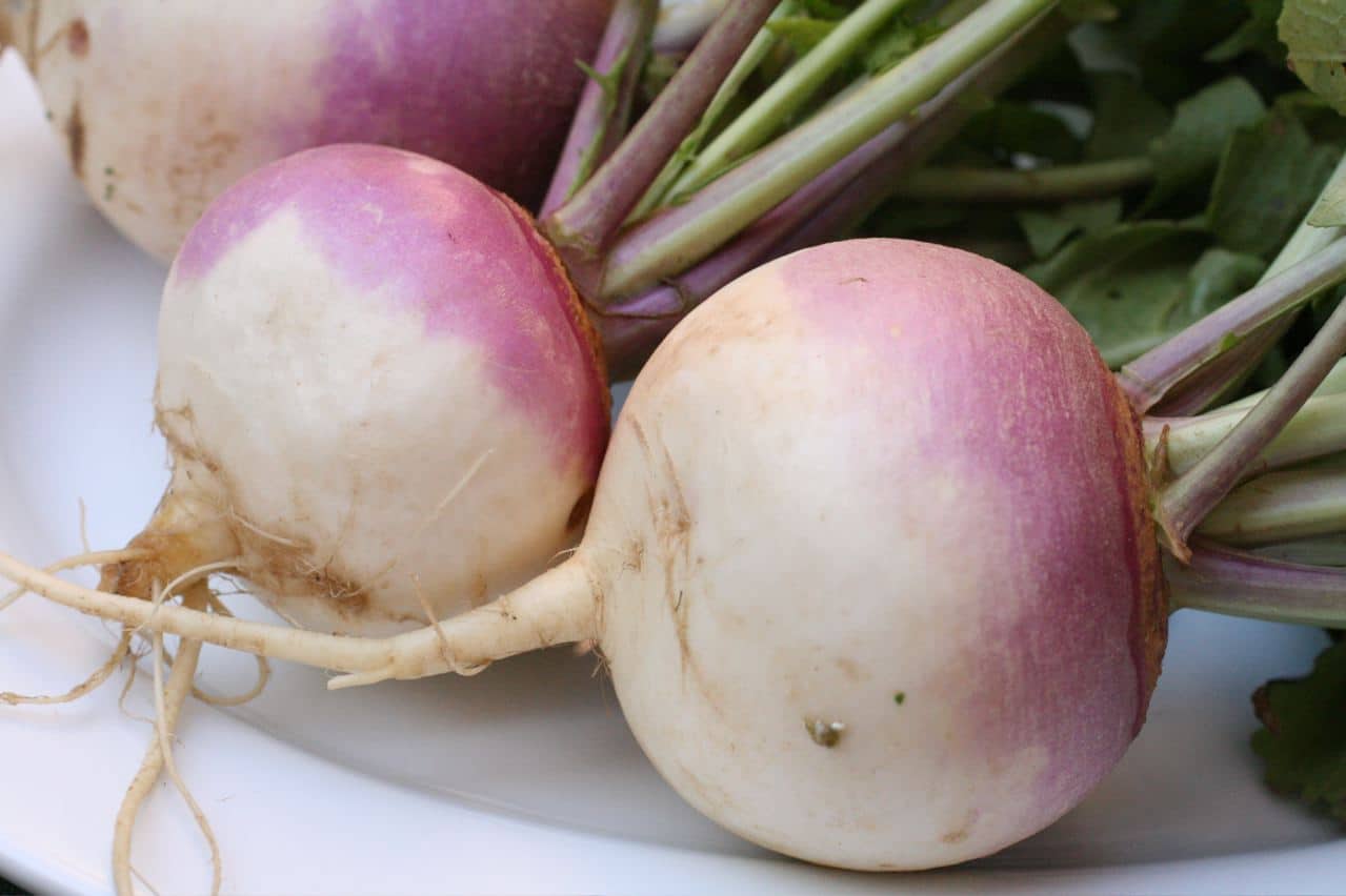 image Turnips: how Britain fell out of love with the much-maligned vegetable