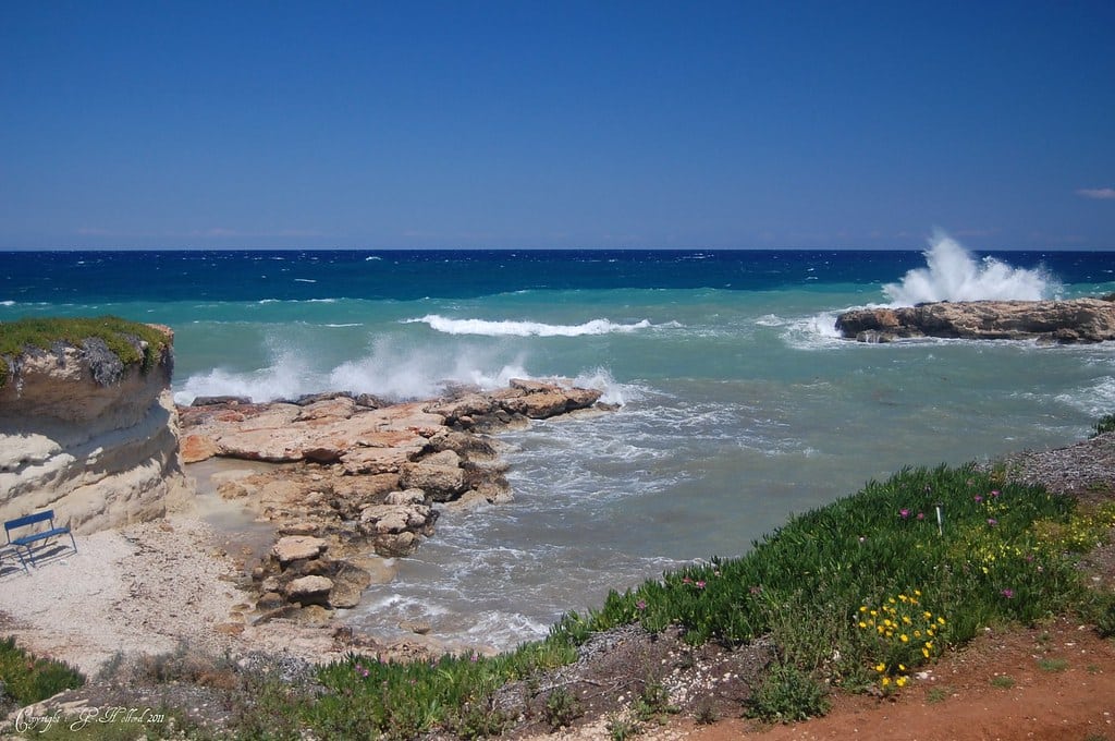 image Dusty with strong winds on the coast
