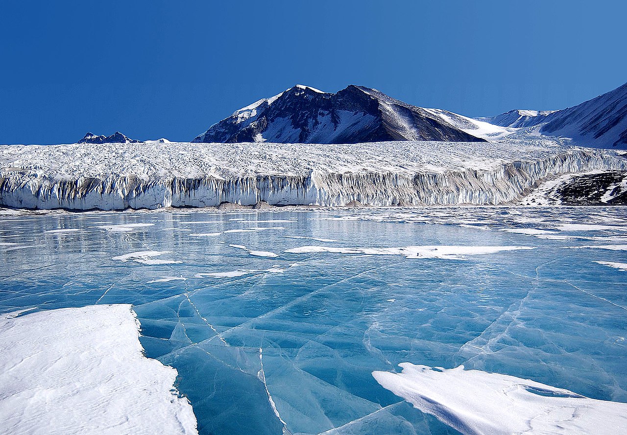 image Freddy and the ice: messages from the future