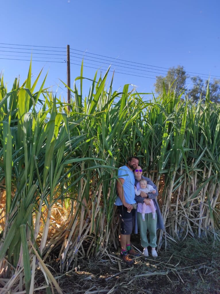 feature iole marjan androussenko and his family dwarfed by his sugar cane