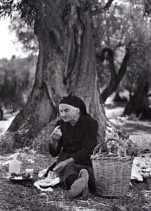 feature3 an elderly cypriot enjoying freshly picked grapes under an olive tree
