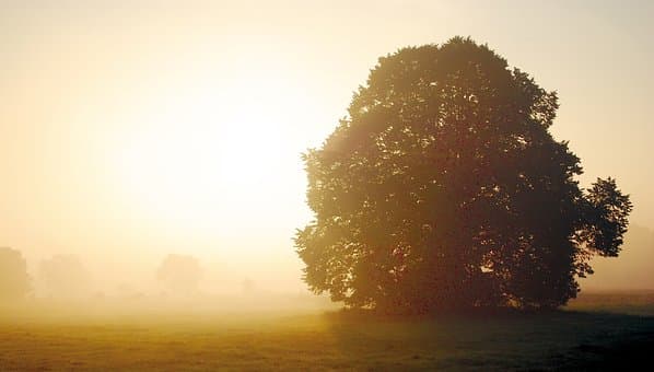 image Hazy with a chance of afternoon showers
