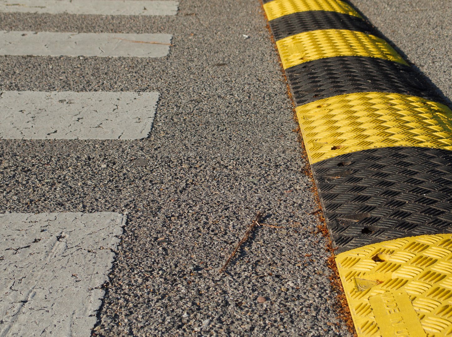 image Speed bumps detrimental to health, says Diko MP