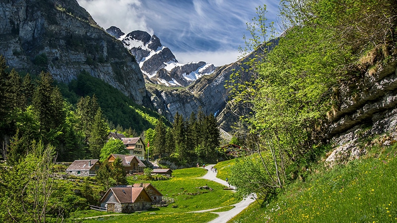 image What’s Eaten Where: Switzerland: The world’s most expensive groceries