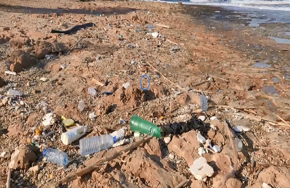 image Bottle caps make up most of the beach rubbish, EU sponsored study shows
