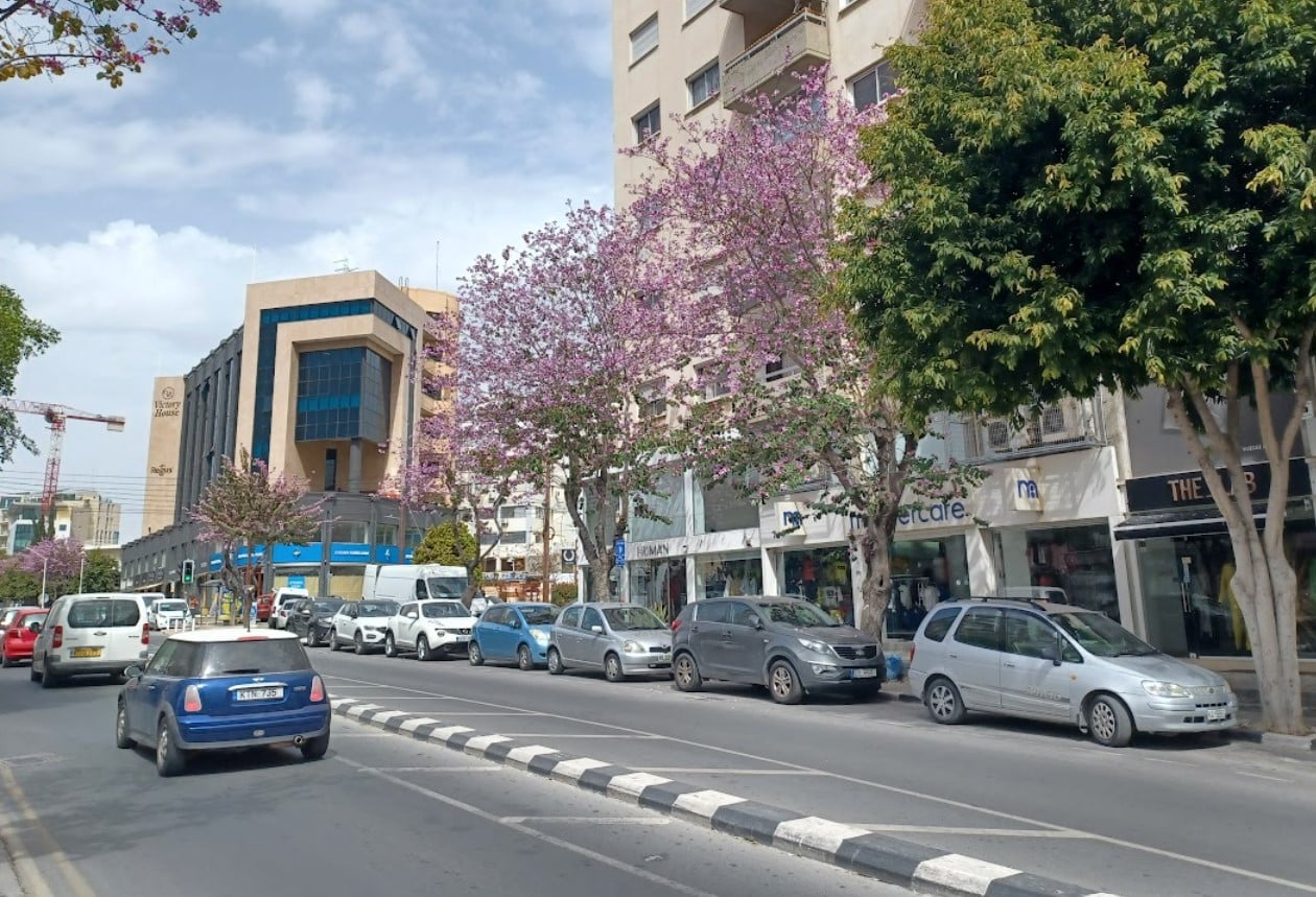 image Electric cars rise to 4 per cent of Cyprus&#8217; new vehicle registrations