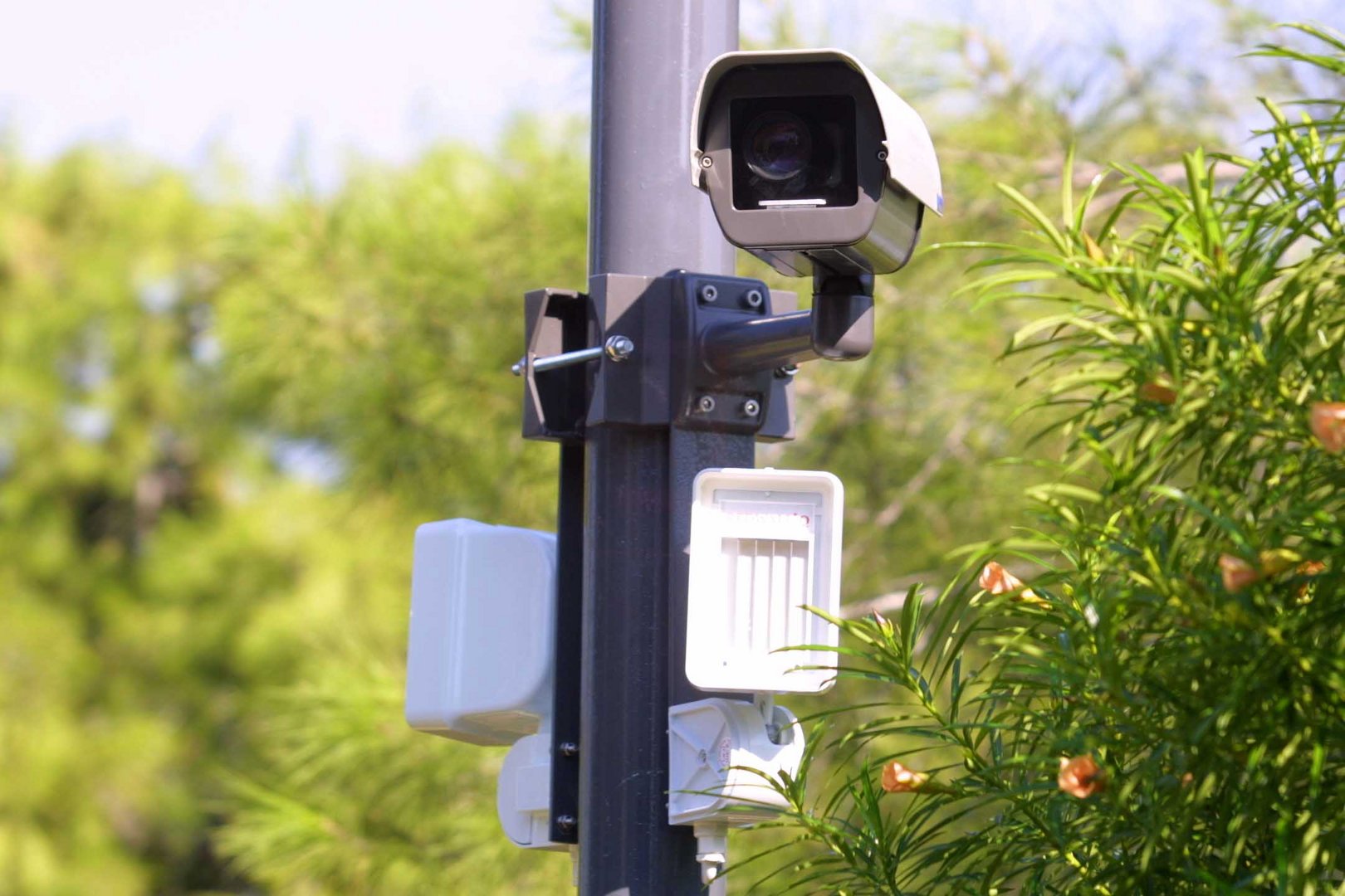 image Traffic light monitoring system expected in May