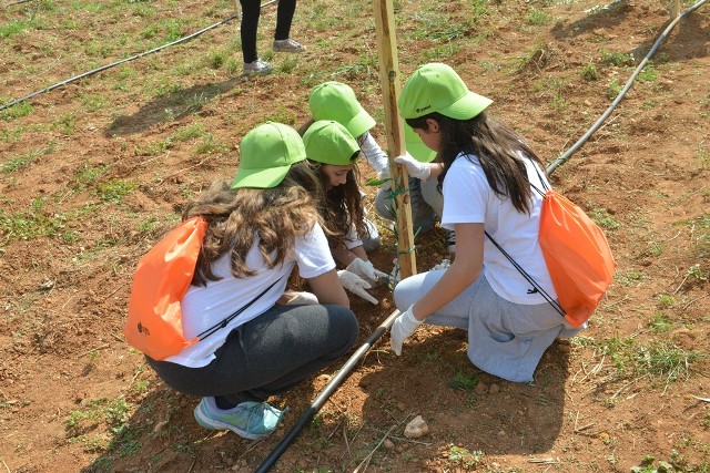 feature jon children planting trees during a cyta backed event