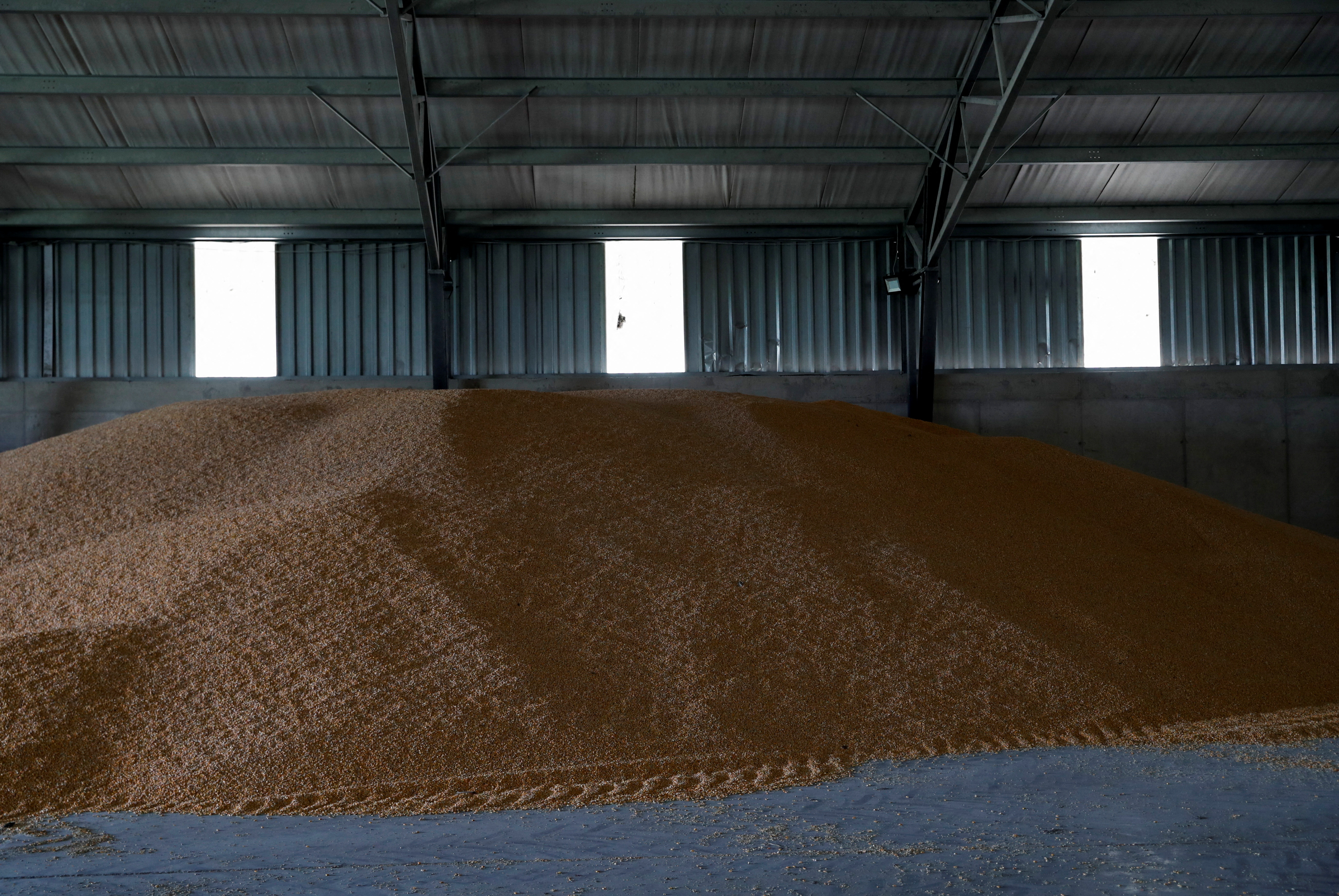 image UK targets grain theft and energy sector with new Russian sanctions