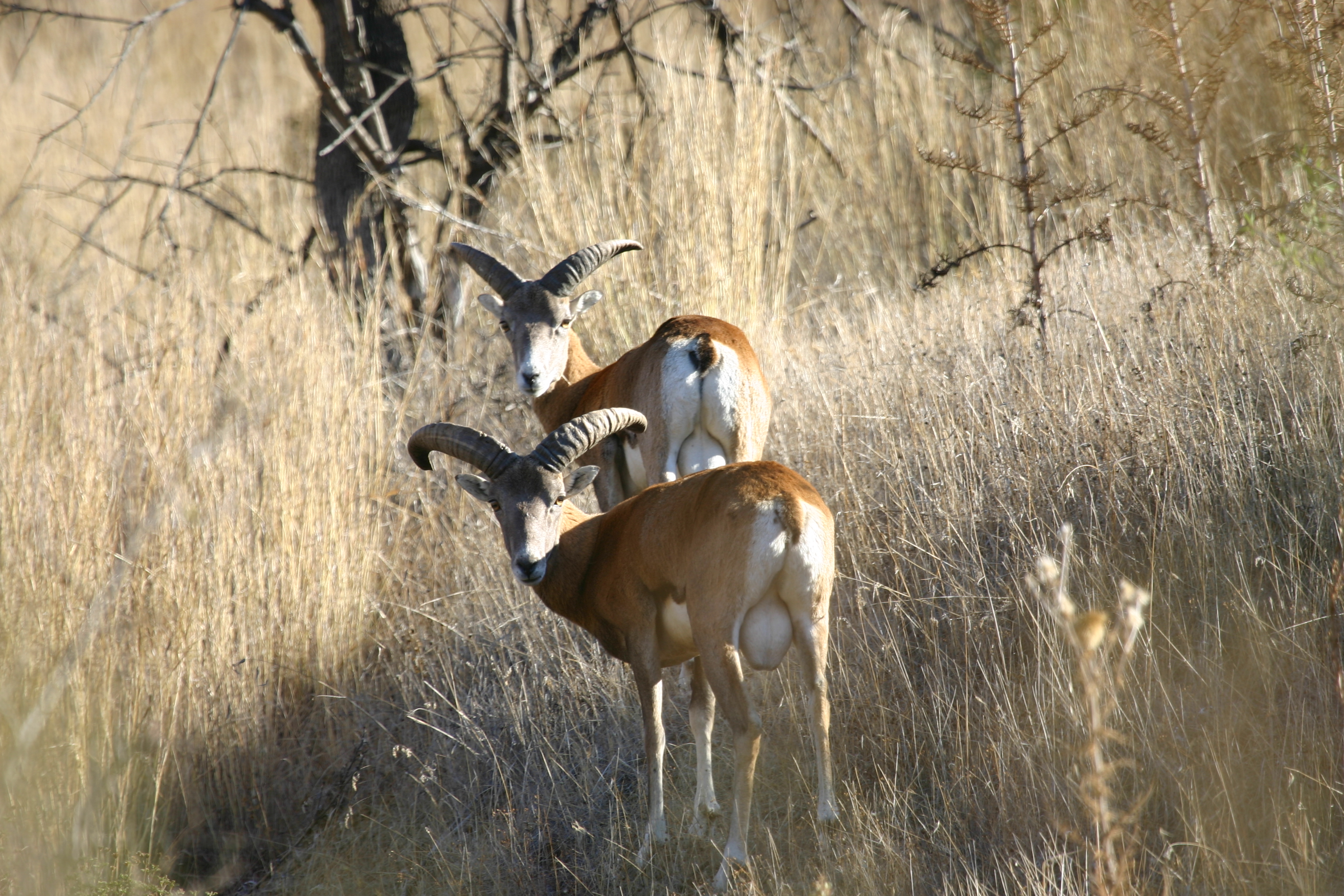 image Two-day celebration for European Natura Day