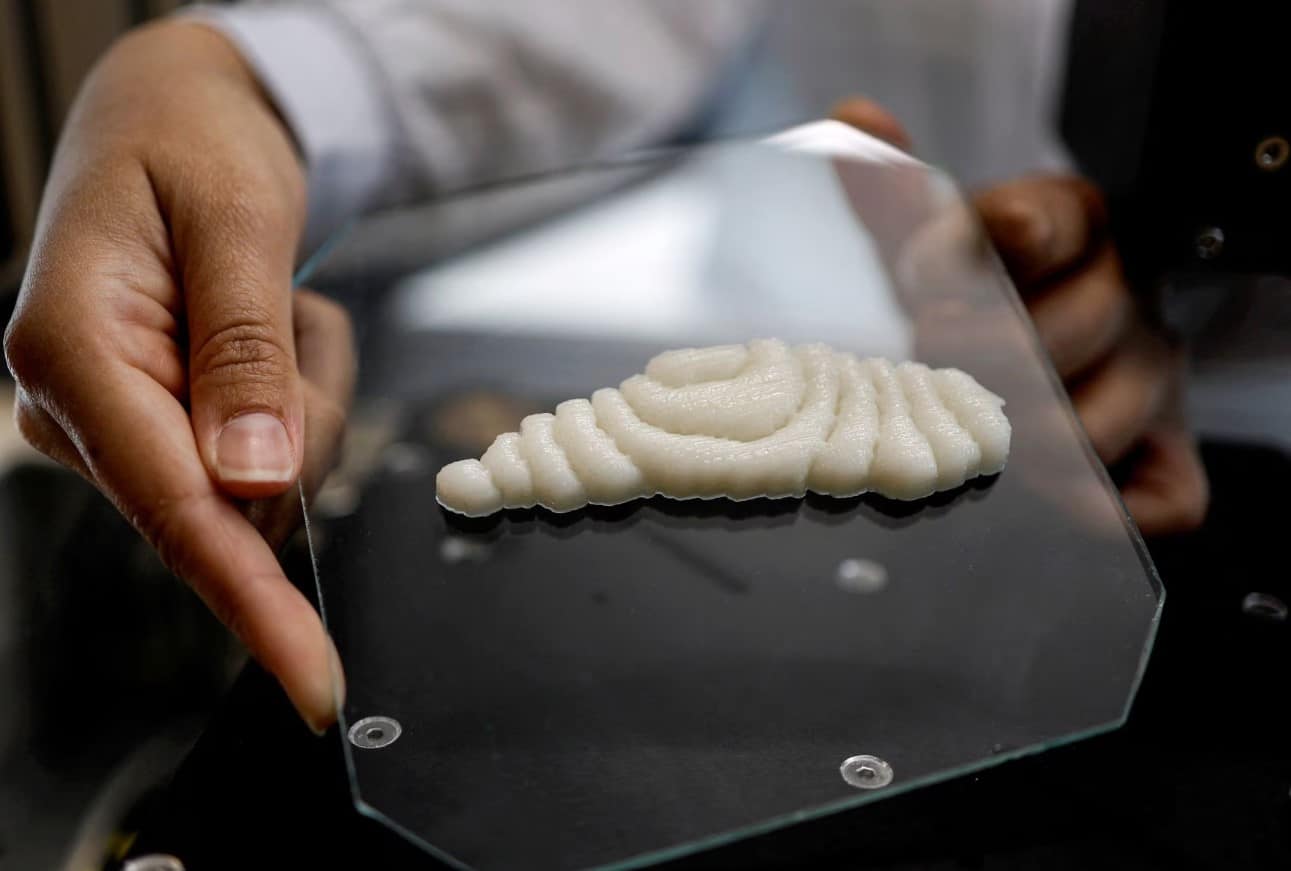 image Dished up by 3D printers, a new kind of fish to fry