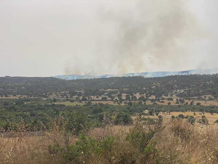 image Fire drill in buffer zone