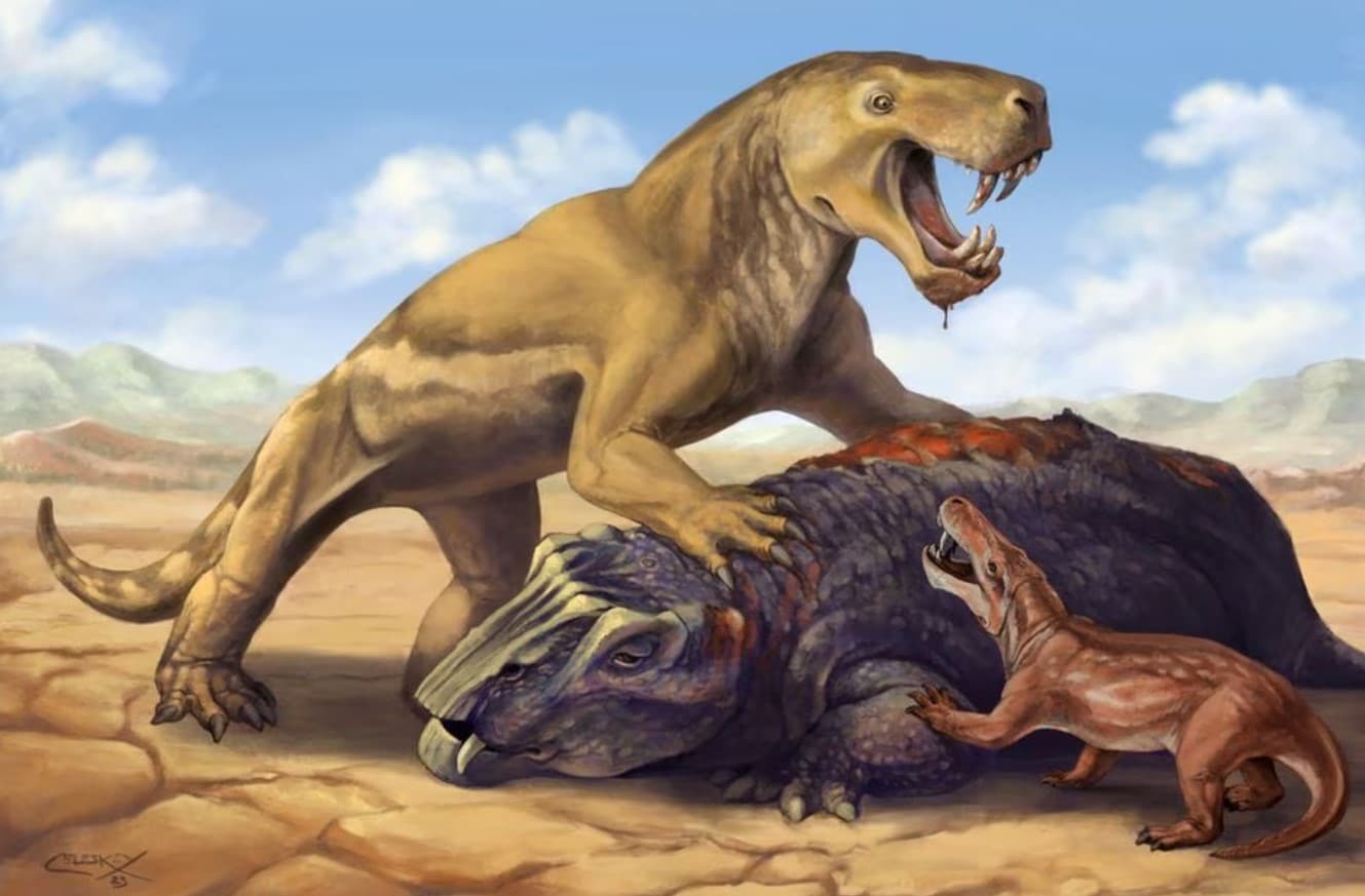 image South African fossils reveal ancient beast&#8217;s epic journey to oblivion