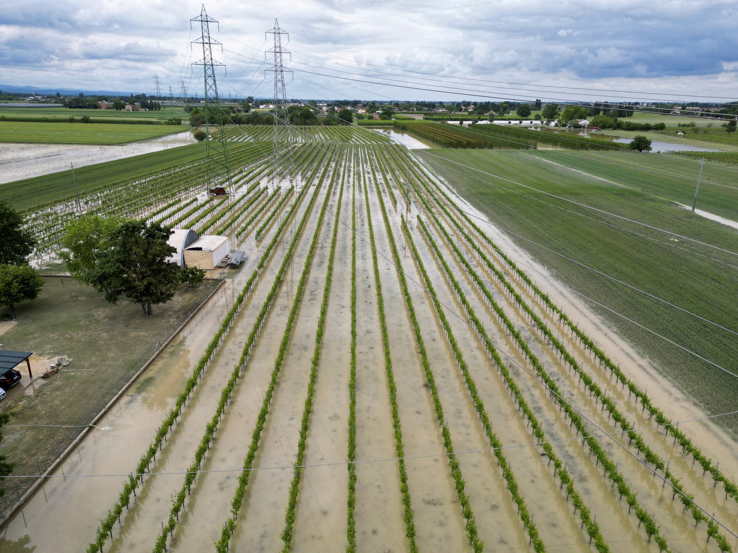 image Fruit harvest faces ruin after floods hit Italy&#8217;s Emilia-Romagna