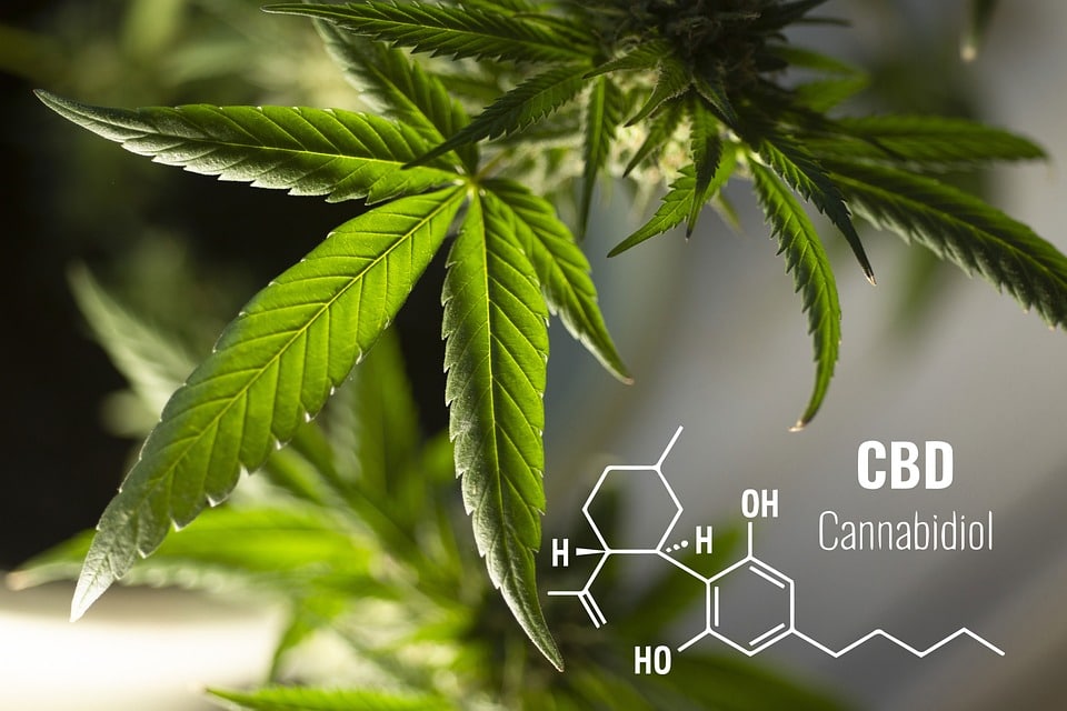 image Confusion over legality of cannabis products