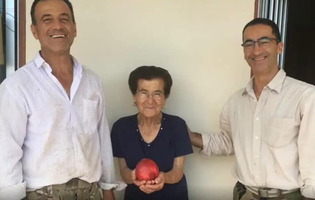 feature3 the 'heaviest nectarine in the world' was grown right here on the island
