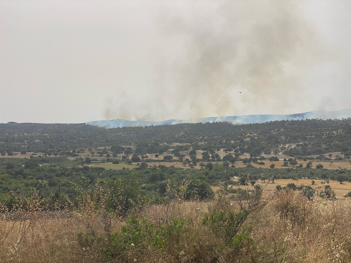 image Blaze under control between the villages of Choirokitia and Vavla (update)