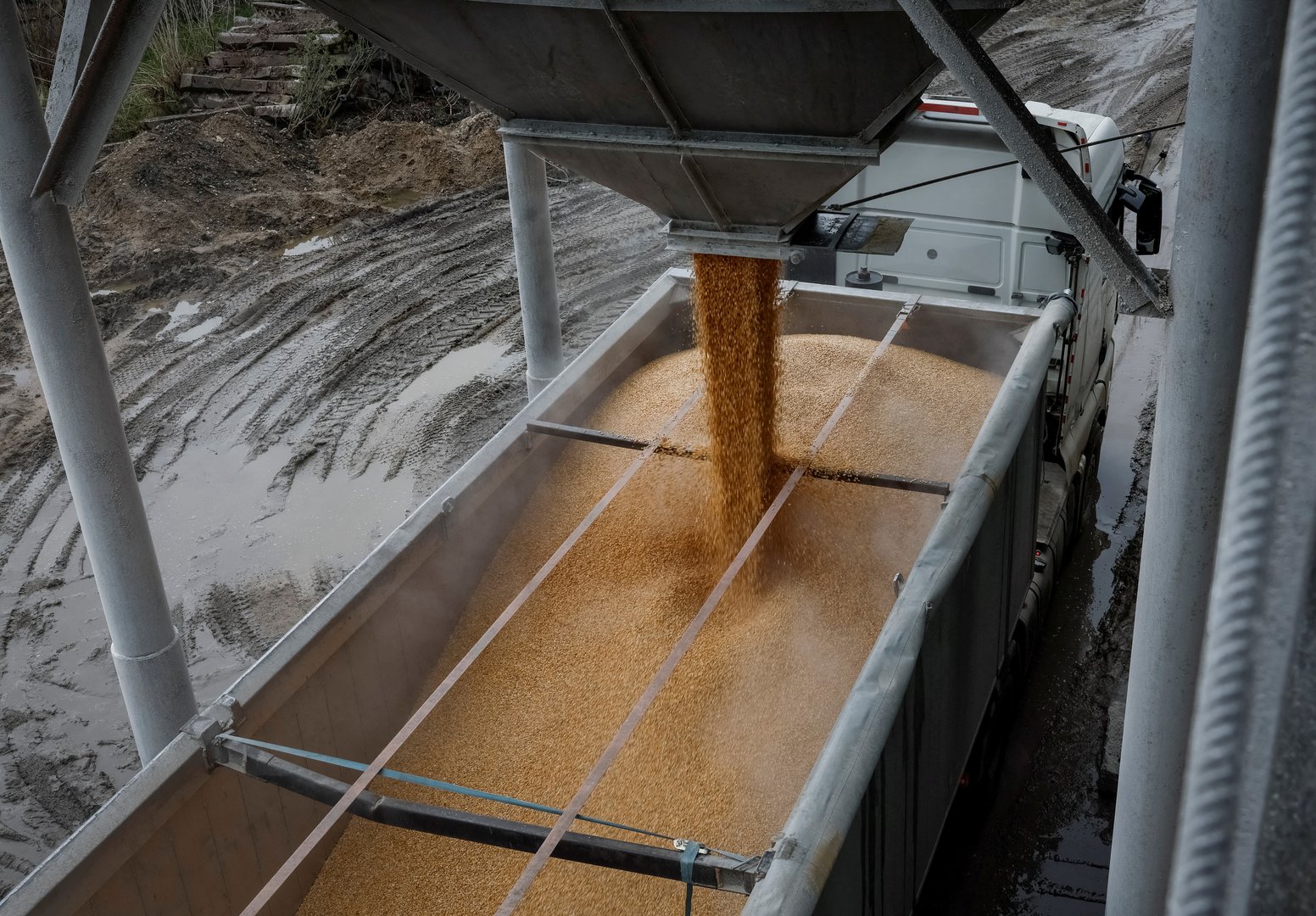 image EU looks to cover transport costs for Ukraine grain exports by land