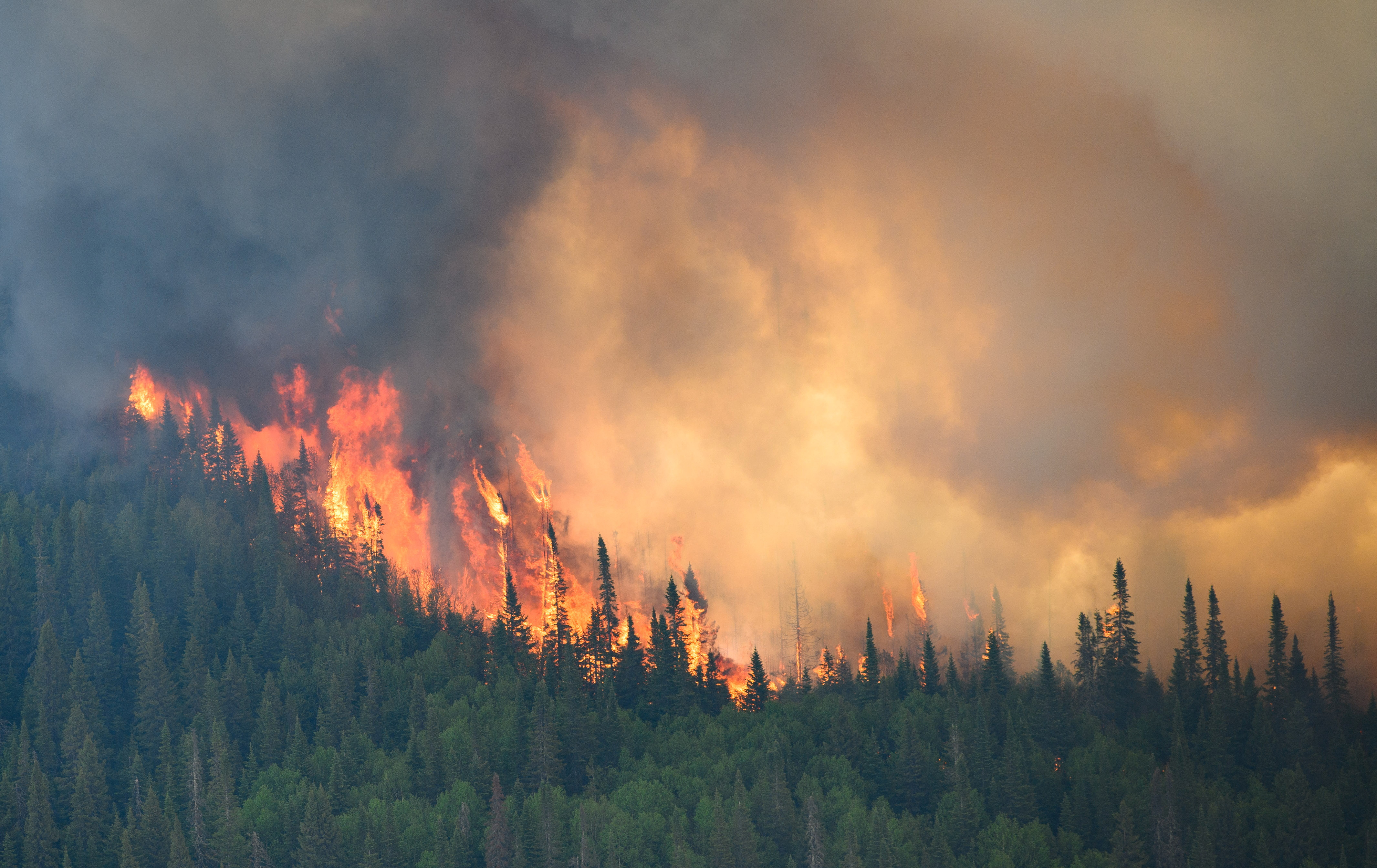 image Young Canadian firefighter killed battling blaze in British Columbia