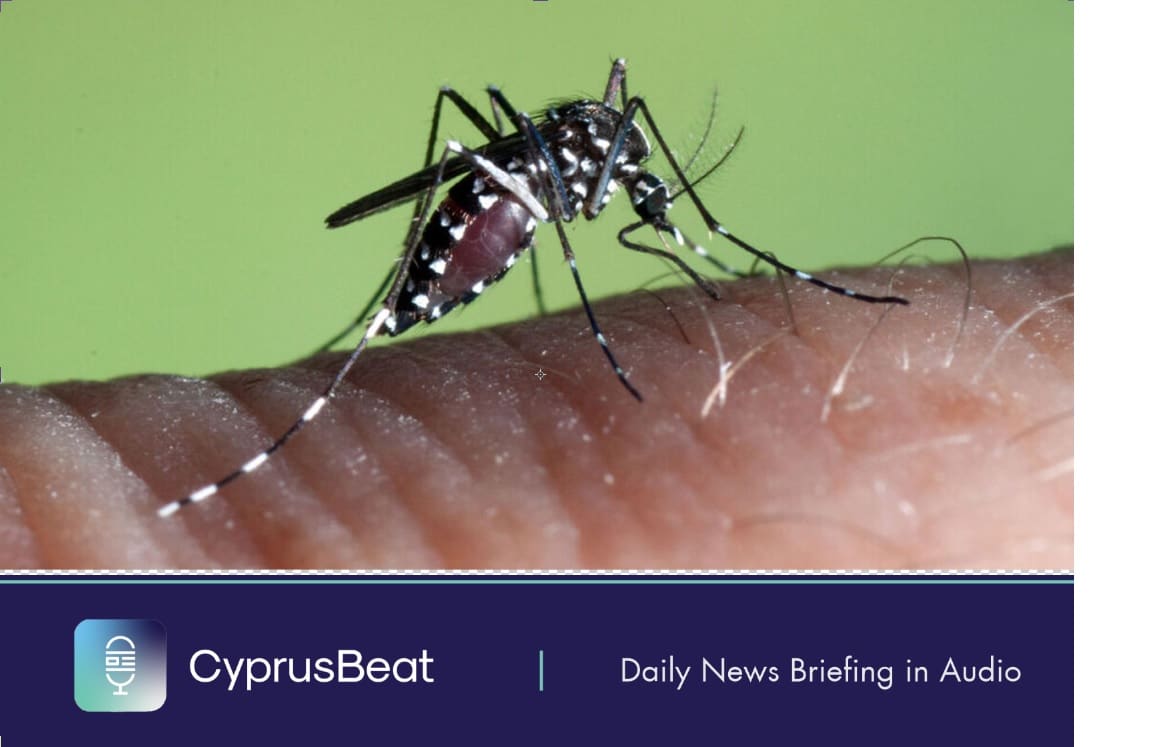 image Daily News Briefing