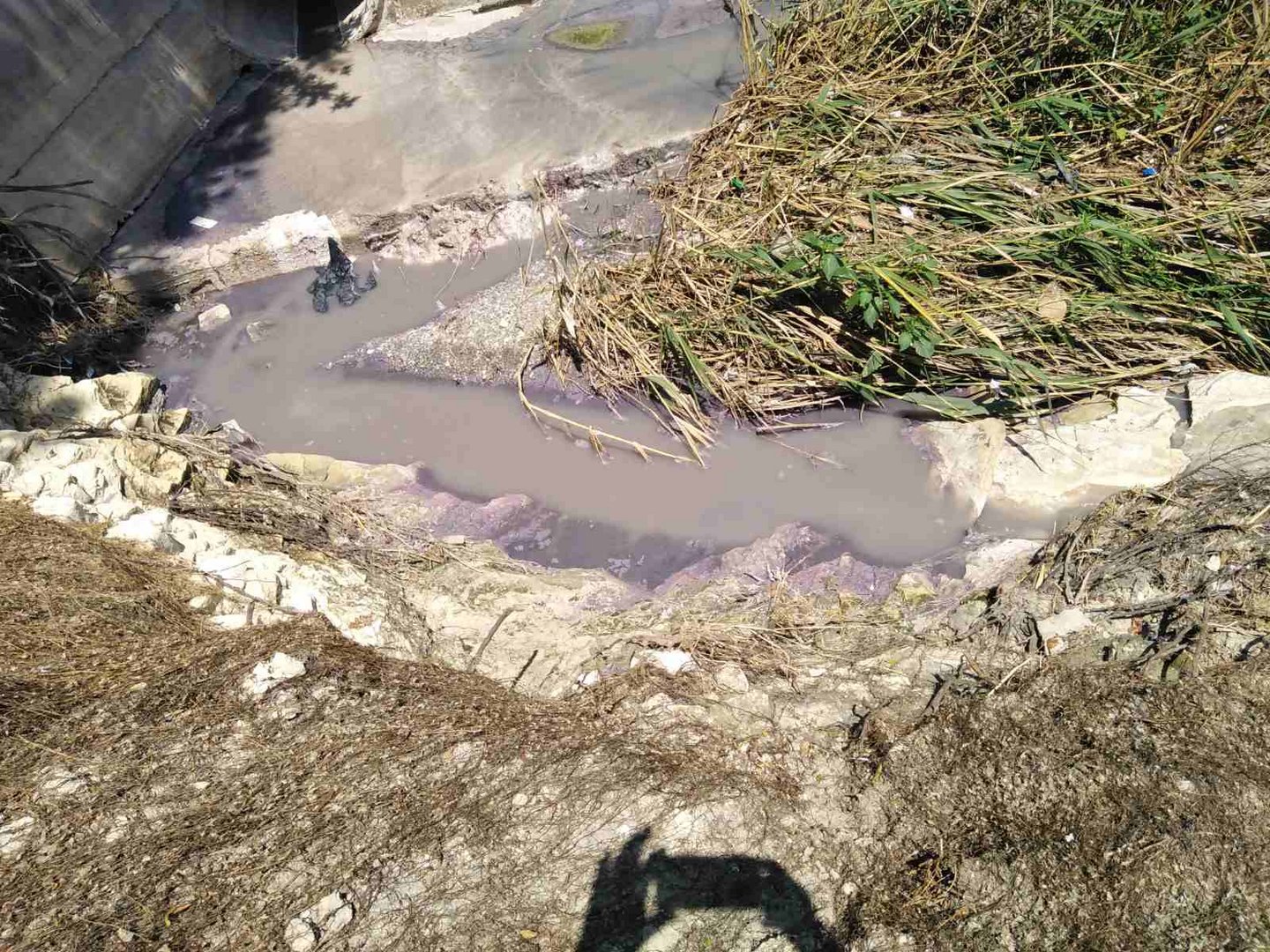 image Alarm raised over sewage in Larnaca Salt Lake