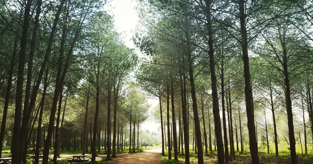 image Pedagogical Academy Park to become model in water management, Commissioner says