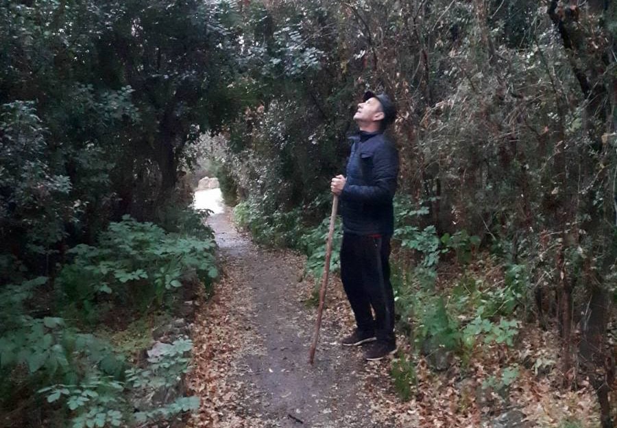 image Tala mukhtar hits back at tree-cutting allegations