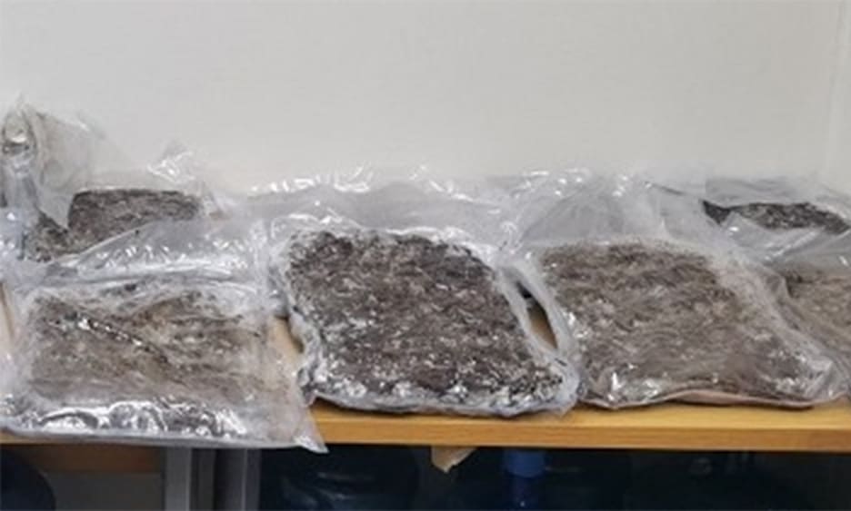 image British youth gets 12 years in prison for smuggling cannabis