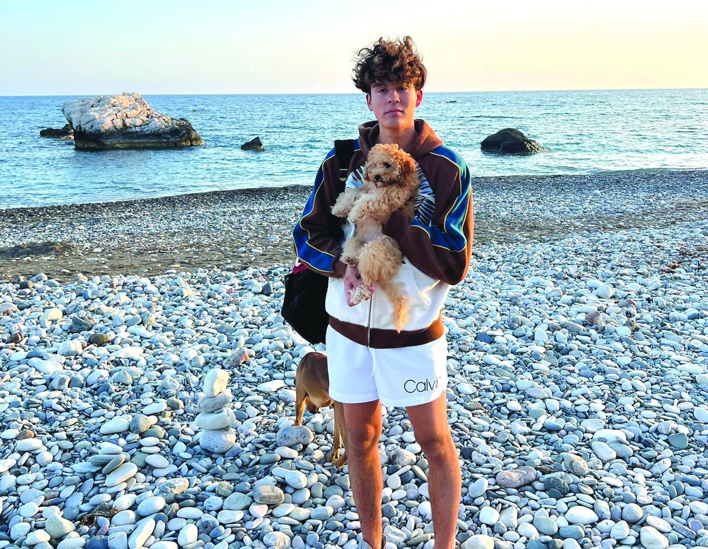 image Dog reunited with Paphos owners after reward offered