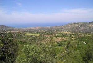 dom travel3