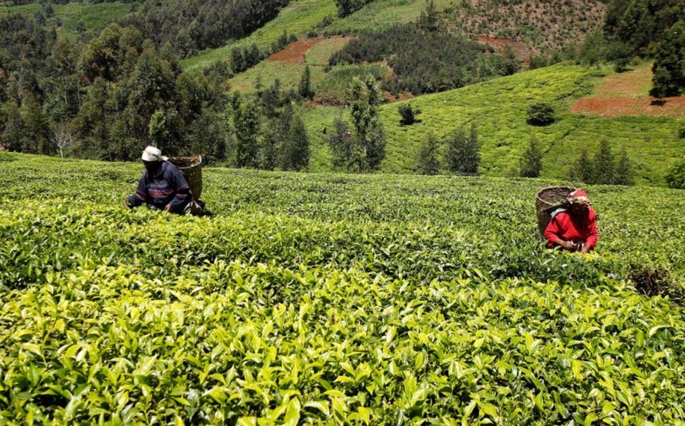 image Dollar drought haunts frontier economies