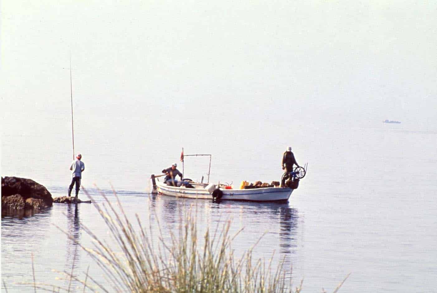 image New exhibition looks at the island’s landscapes