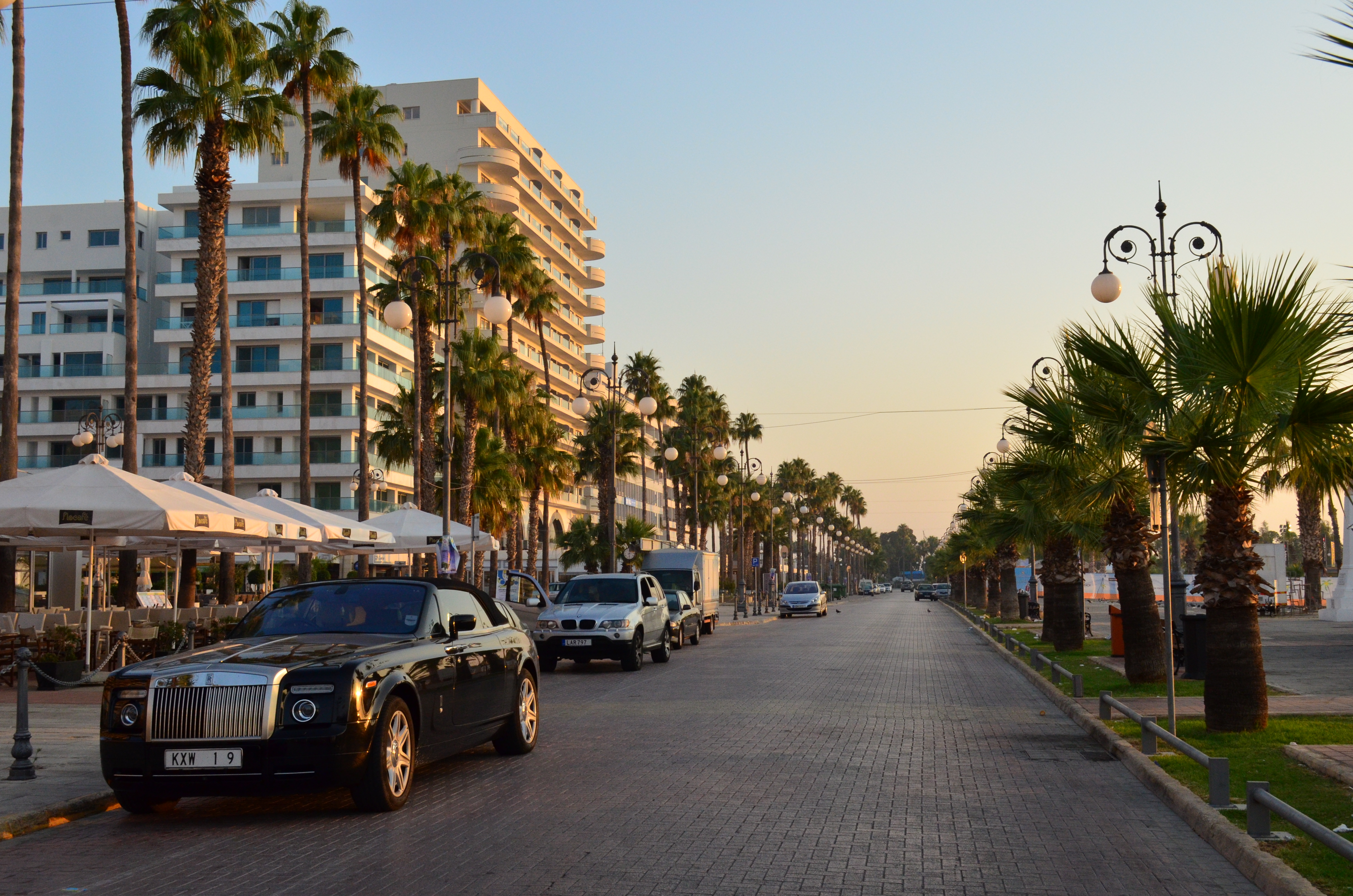 image Palm tree pruning begins in Larnaca