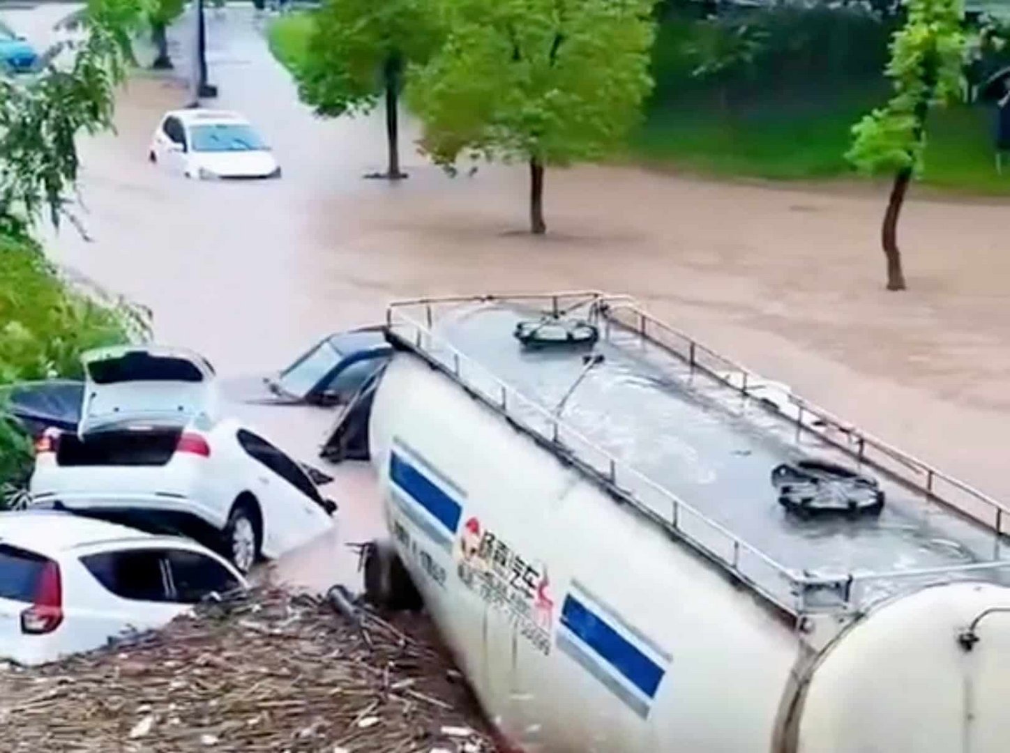 image Typhoon Talim leaves behind crushed vehicles, beached whale in southern China
