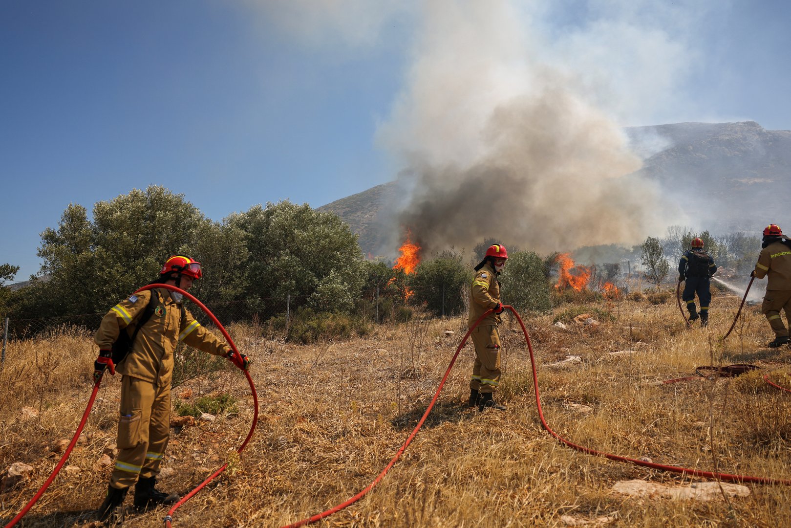 image Wildfires rage near Athens, houses damaged (Update)