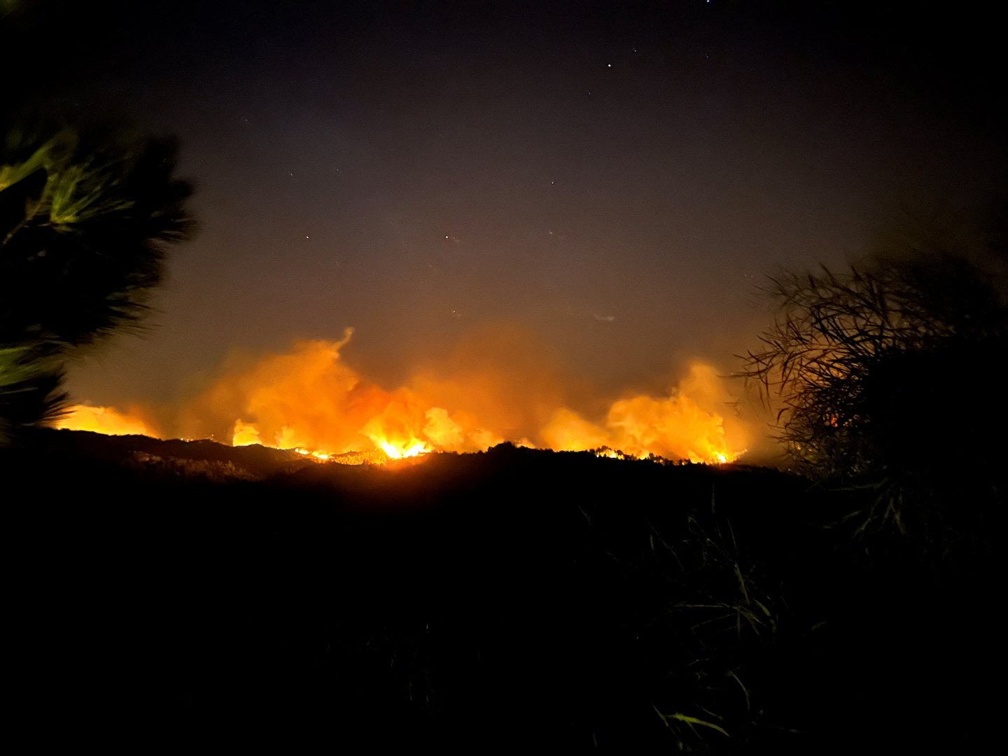 wildfires burn forests on greek island of rhodes