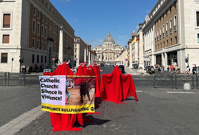 image Animal rights campaigners urge Pope Francis to denounce bullfighting