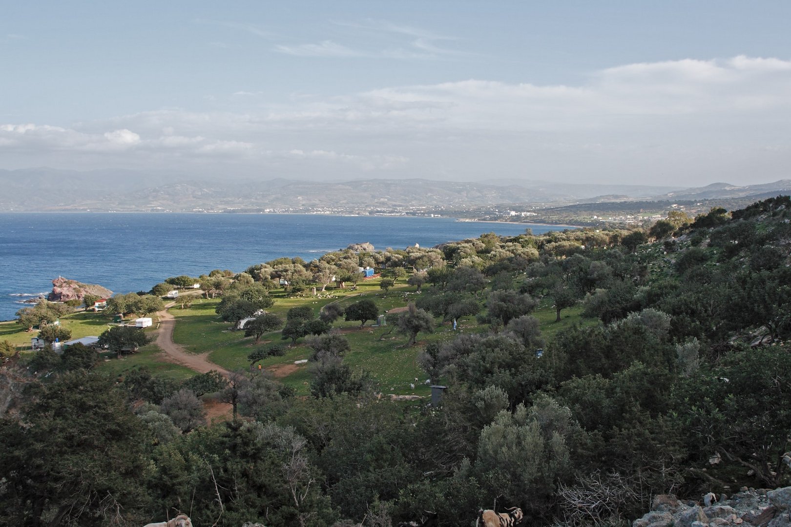 image Greens call for ban on quad bikes in Akamas
