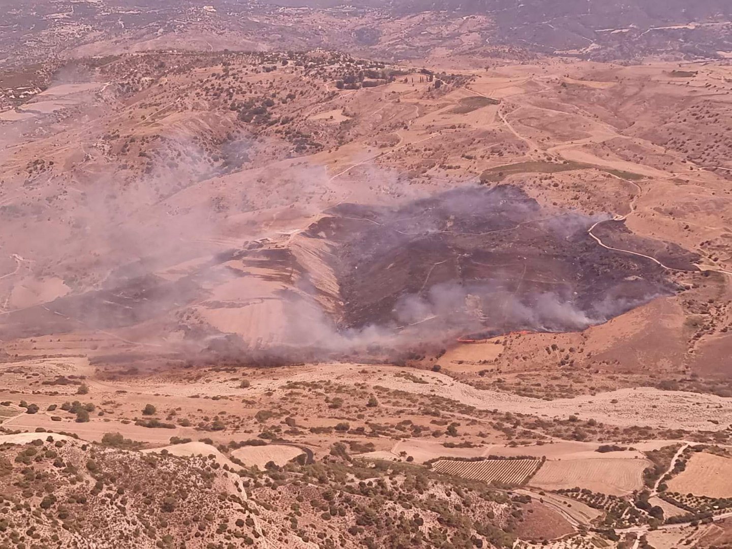 image Fire raging near forest in Paphos