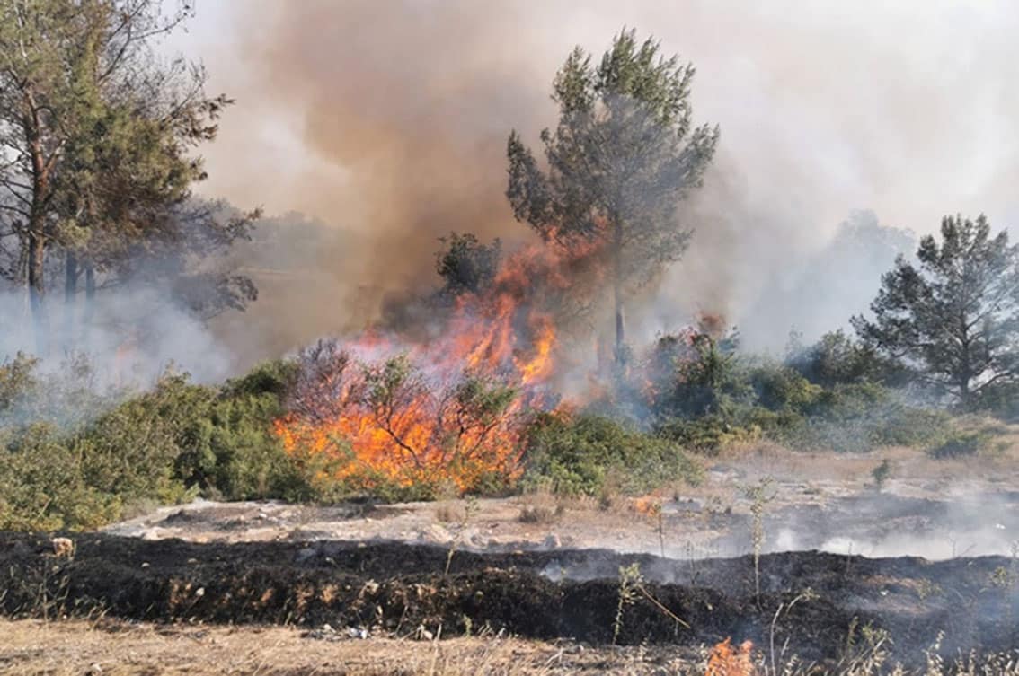 image Heightened fire risk amid heatwave warning (Update)