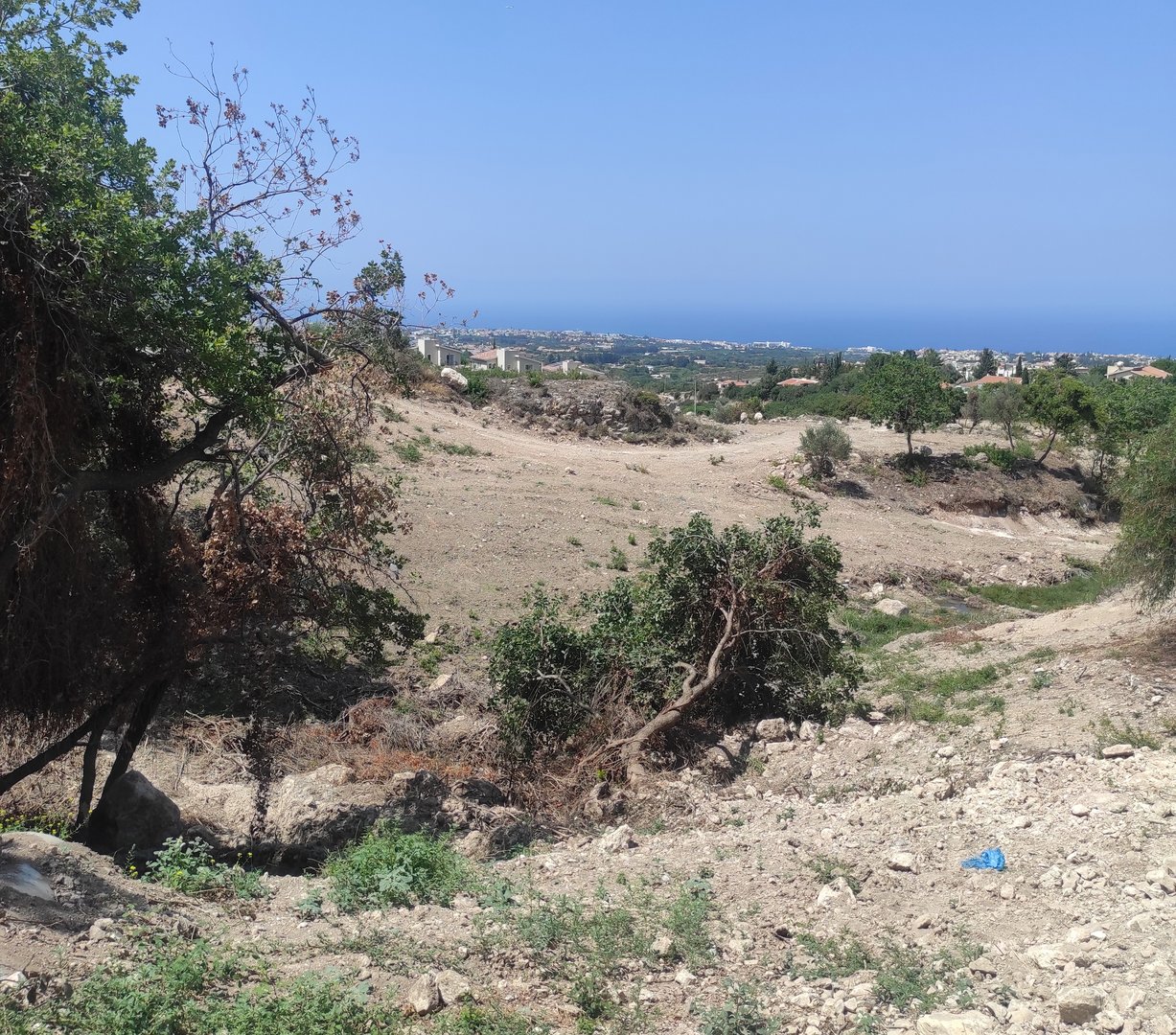 image Greens demand answers over Tala ‘destruction’