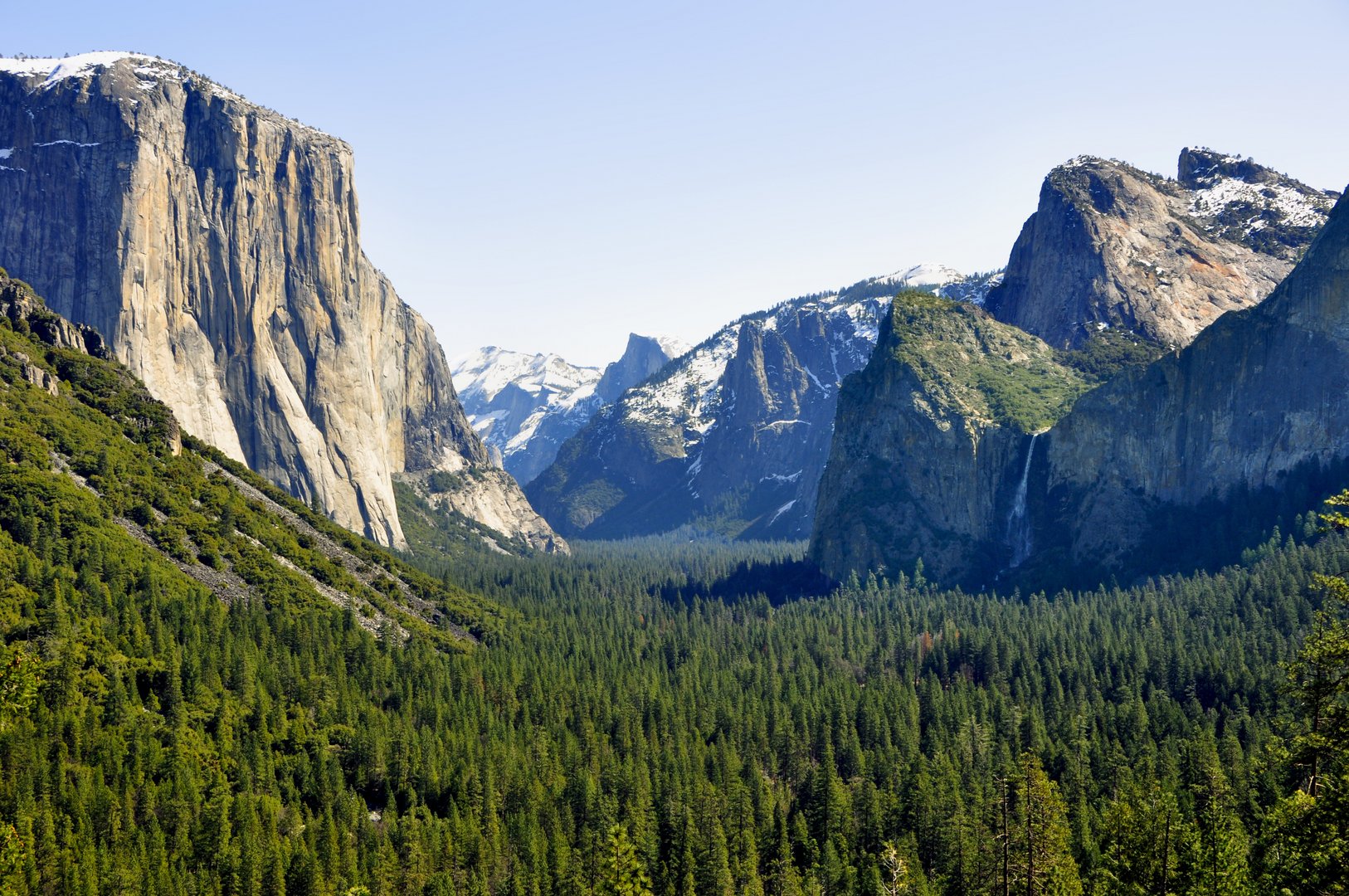 image The beauty of America is the ability of the system to be self-regulated