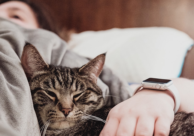 image Napping may be beneficial for your brain