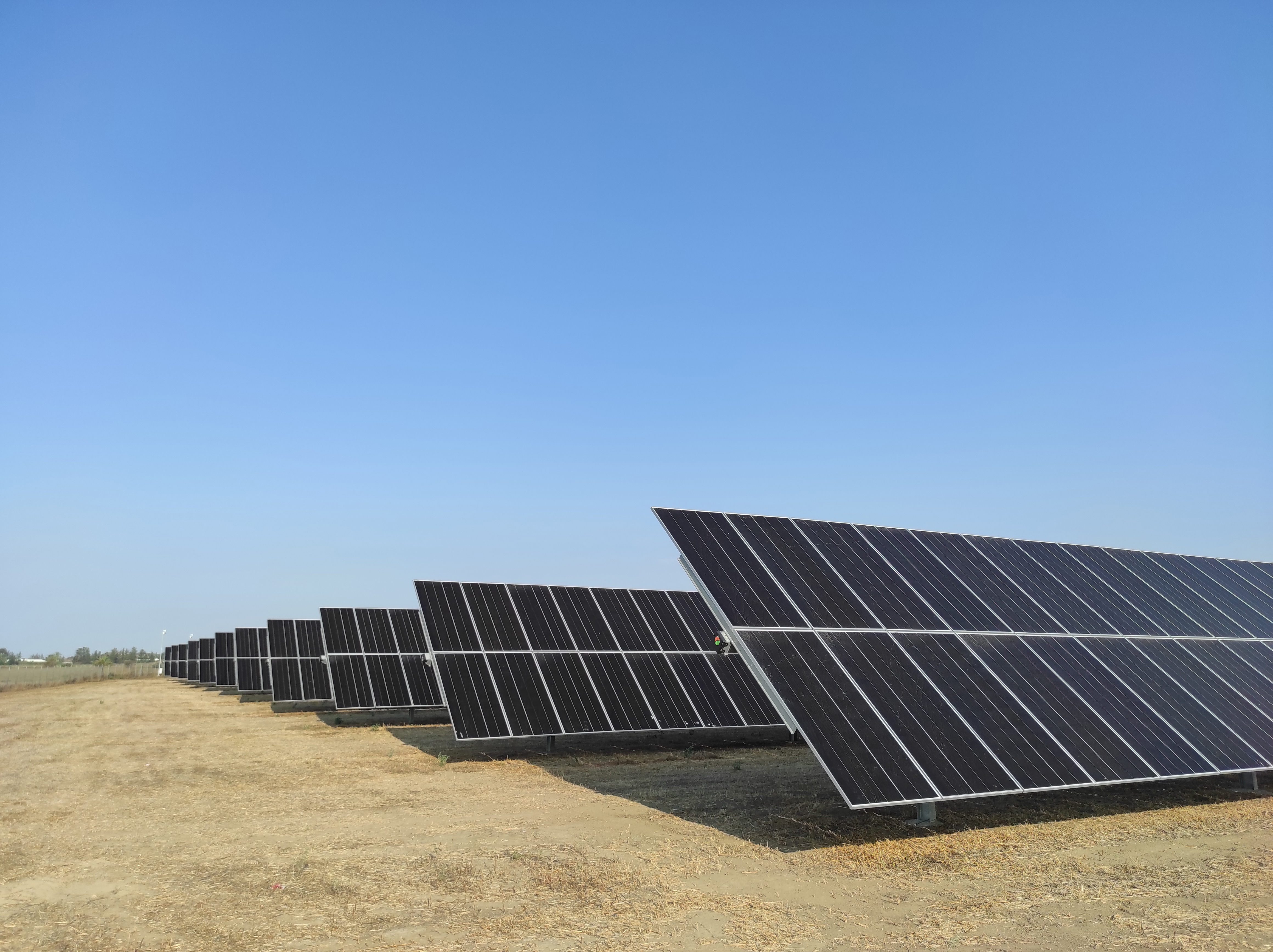 image PV park bid in reforested area rejected 