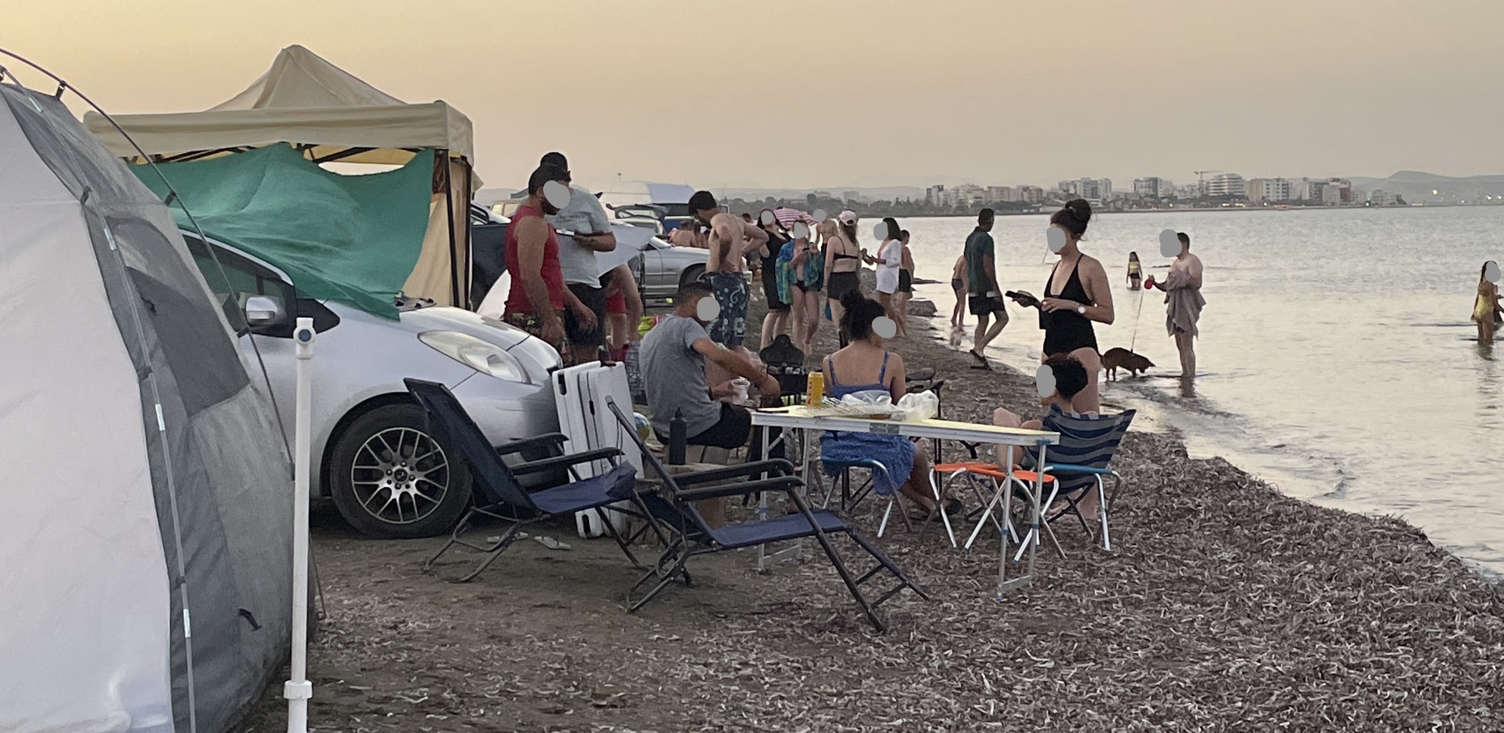 image No room on dog beach for four-legged friends