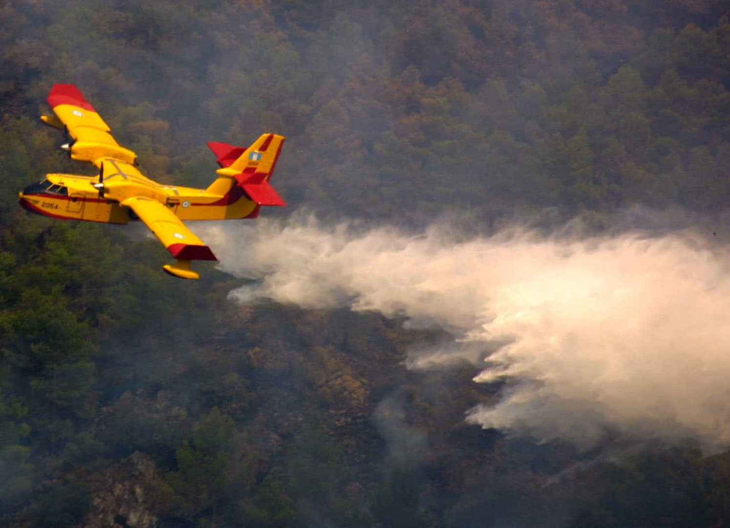 image Efforts underway to reduce risk of wildfires